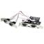 PEX4S553