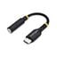 USBCAUDIO2