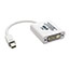 P137-06N-DVI-V2