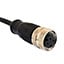 PXPPVC12FBF12ACL010PVC