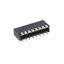 SBP 61008 T