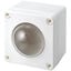 WP-CR-100-35
