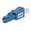 C-ATTNS-LCPC-3DB