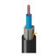 TT-SCN-012-LRNN