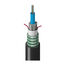 TT-SCN-012-LSNN