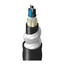TT-SLC-006-LINN