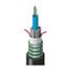 TT-SCN-006-LSNN