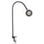 LED-CD33-30-120V