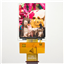 AFY240320A1-2.8INTH