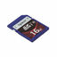 AP16GSDHC10U1-B