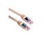 MP-52RJ11SNNE-025
