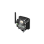 DX80DR2M-H