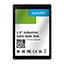 SFSA160GS2AK2TO-I-8C-22P-STD