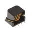 PA3965.001NLT