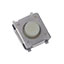 EVQ-Q2503W
